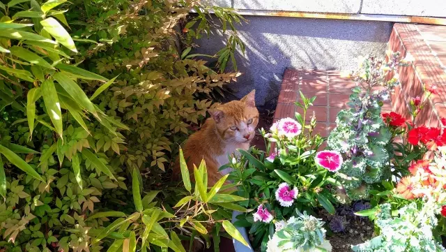 生活的溫柔輪廓，是藏在日常裡的小美感